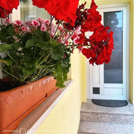 Casa David Tatil Evi *