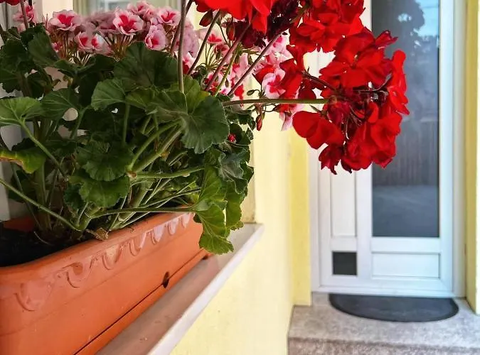 Casa David Holiday home *